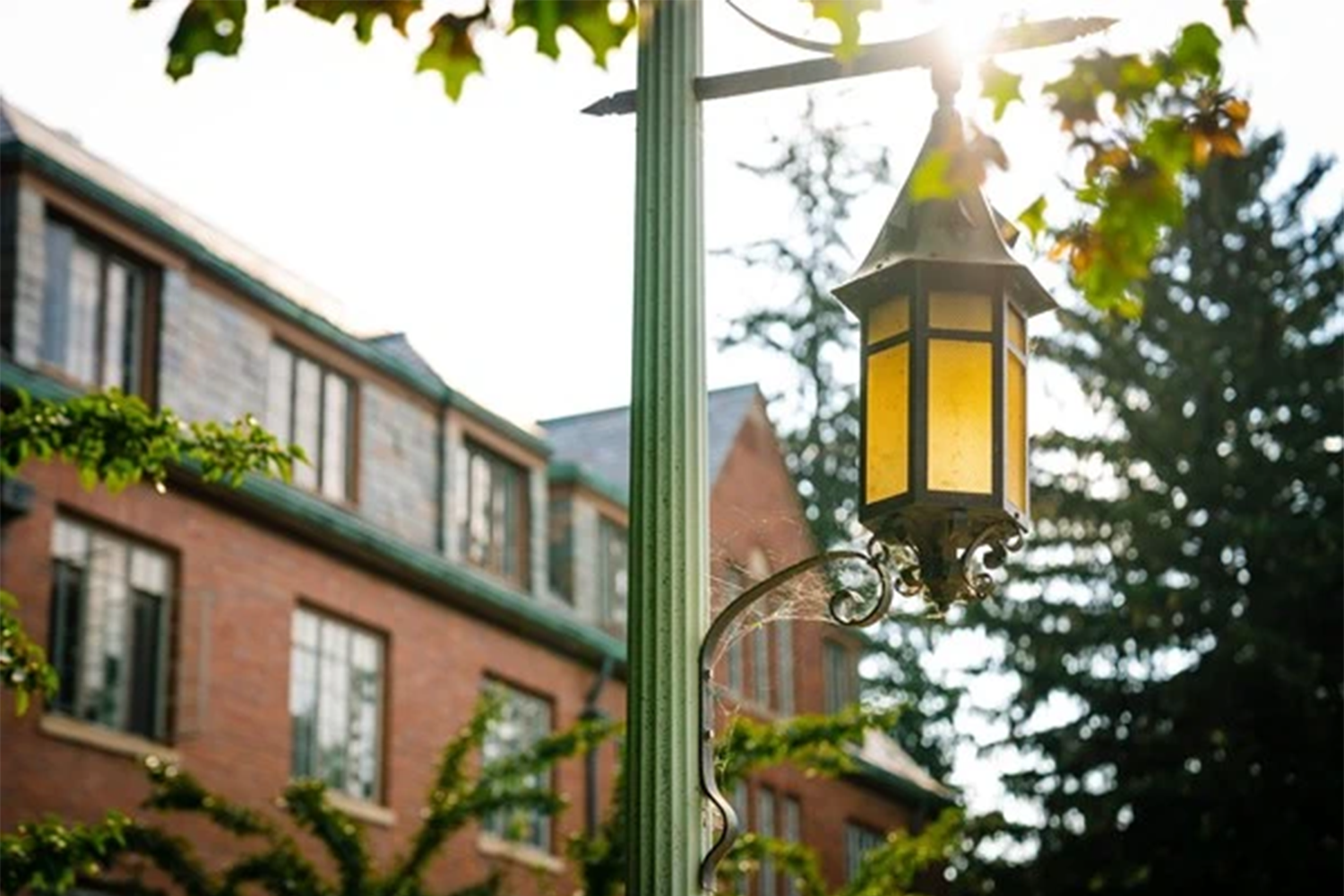 A lamp post on the MSU campus